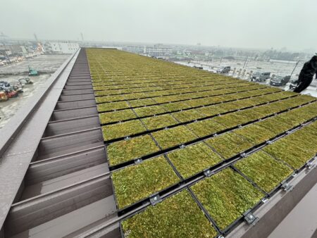 屋根上緑化工事②【埼玉県】